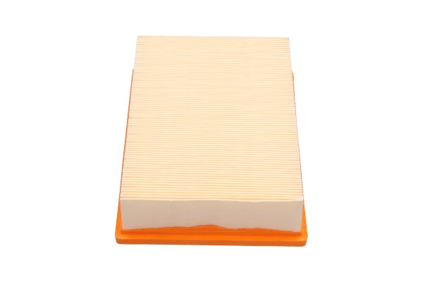 Air Filter CA-305