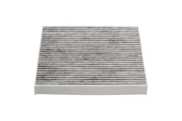 Filter, cabin air HC-8244C