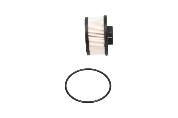 Fuel Filter FFF-10011