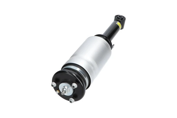 Air Suspension Strut SAS-10027