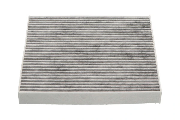 Filter, cabin air HC-8244C