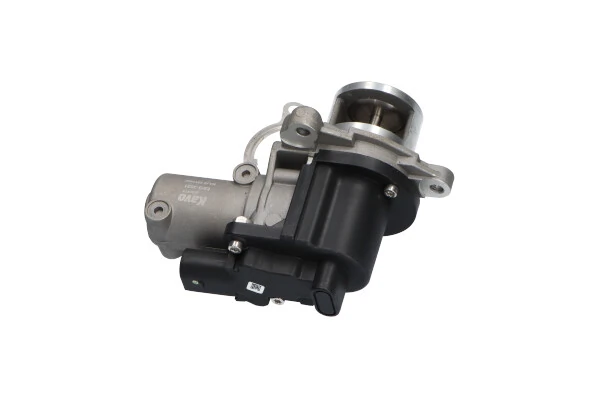 EGR Valve EEG-3021