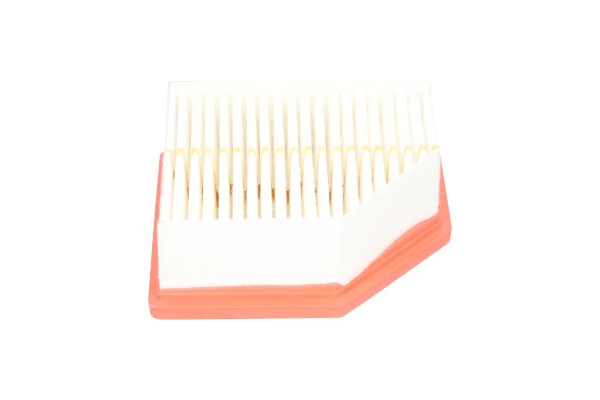 Kavo Parts FAF-10021 Air Filter