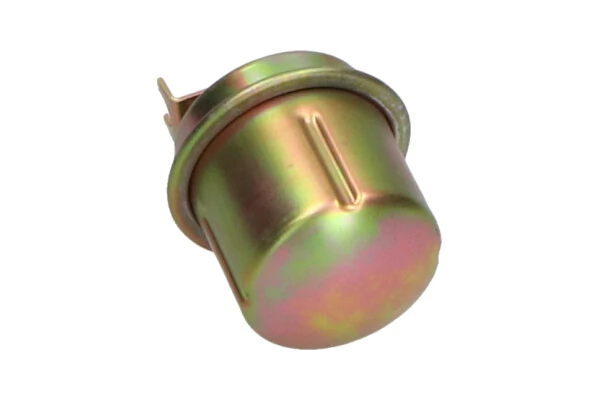 Kavo Parts HF-8955 Fuel Filter