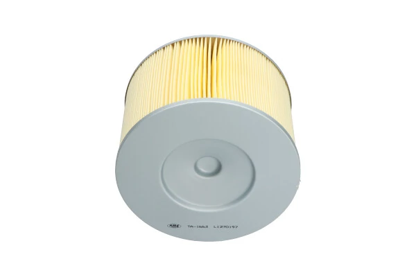 Kavo Parts TA-1663 Air Filter