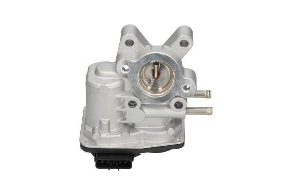 EGR Valve EEG-6503