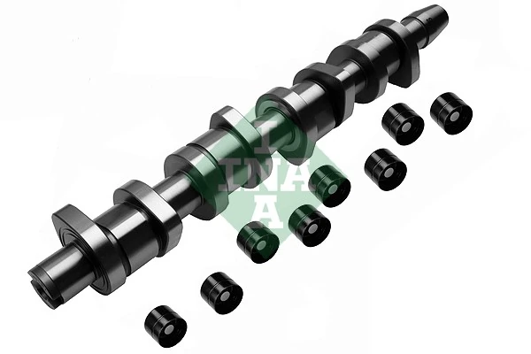 Camshaft Kit 428 0039 30