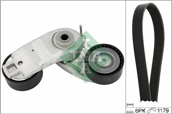 Schaeffler INA 529056910 Genuine