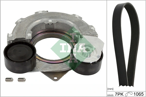Schaeffler INA 529055910 Оригинальный