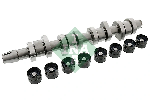 Camshaft Kit 428 0042 30