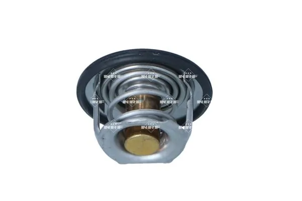 Thermostat, coolant 725305