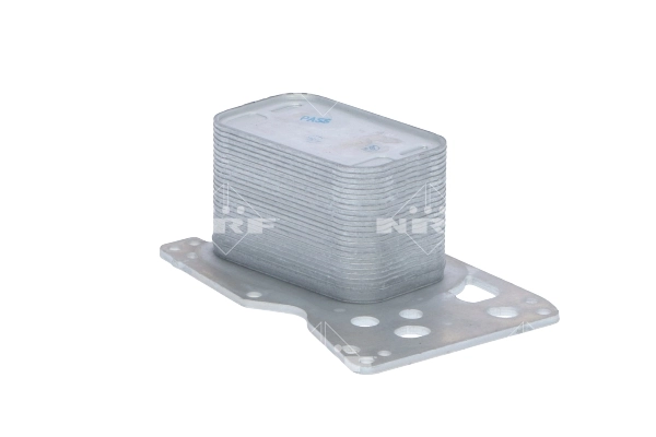 Oil Cooler, engine oil 31783