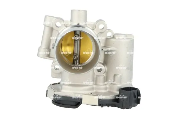 Throttle Body 408016