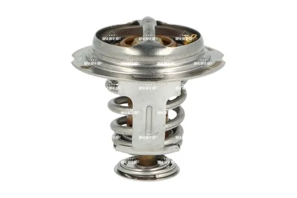 Thermostat, coolant 725090