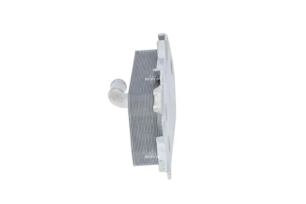 Oil Cooler, engine oil 31773