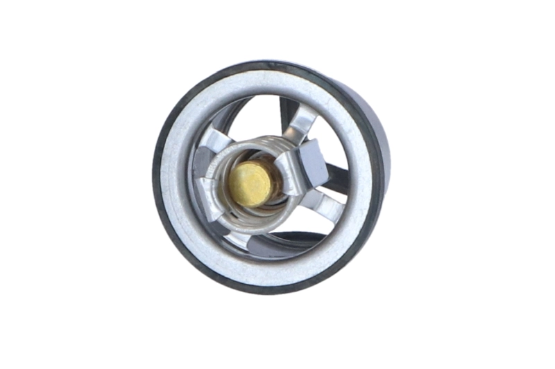 Thermostat, coolant 725020