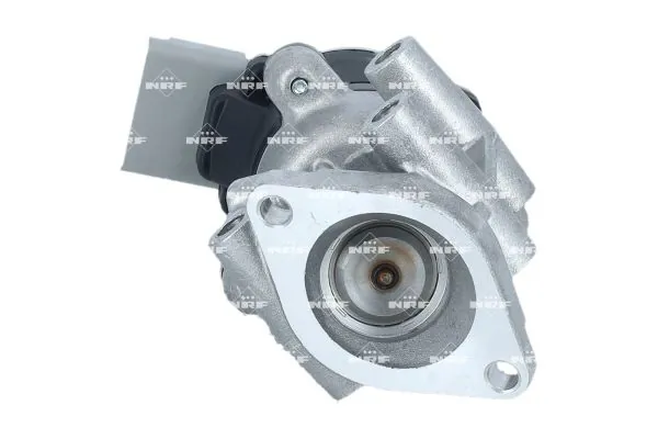 EGR Valve 48714