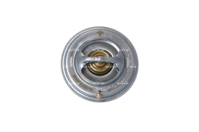 Thermostat, coolant 725123