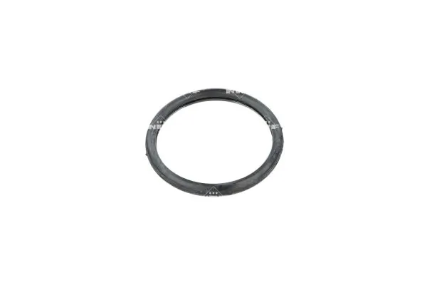 Thermostat, coolant 725268