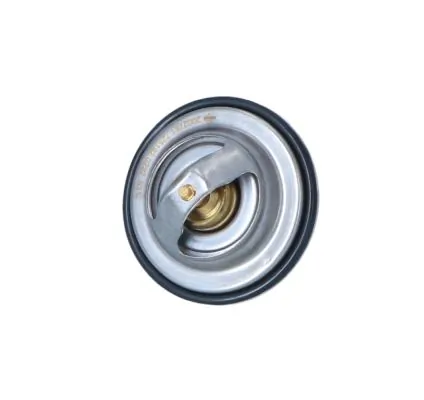 Thermostat, coolant EASY FIT 725192