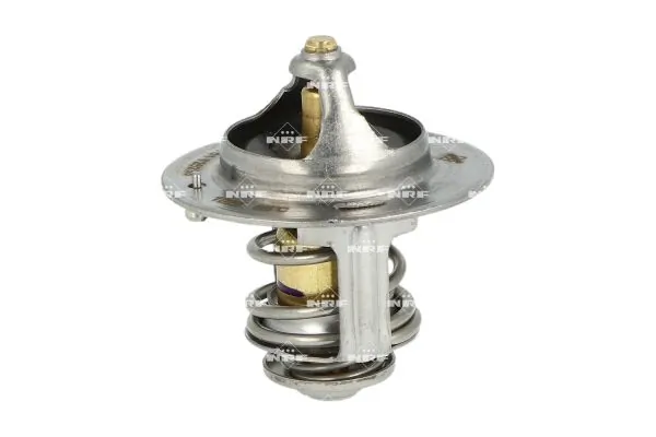 Thermostat, coolant 725233