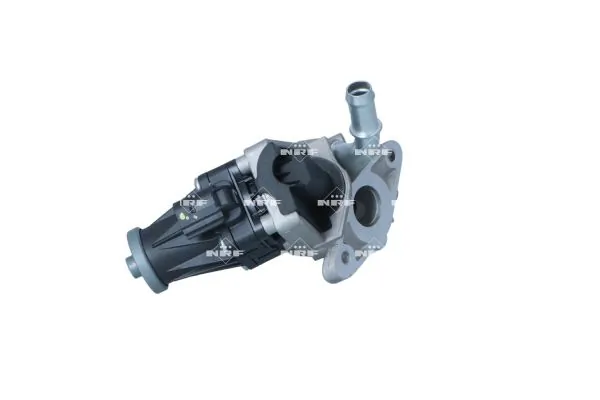 EGR Valve 48641