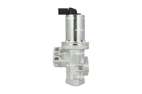EGR Valve 48689