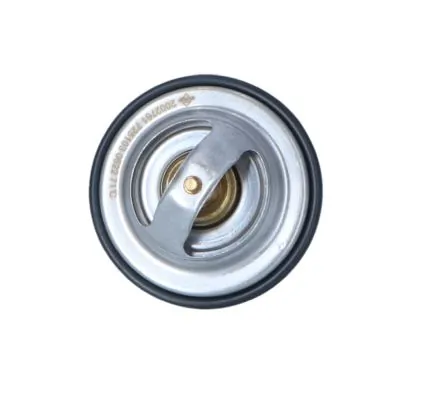 Thermostat, coolant EASY FIT 725103