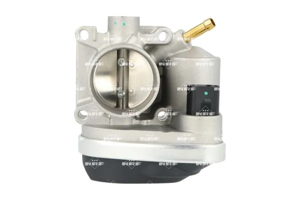 Throttle Body 408018