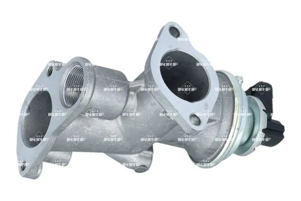 EGR Valve 48702