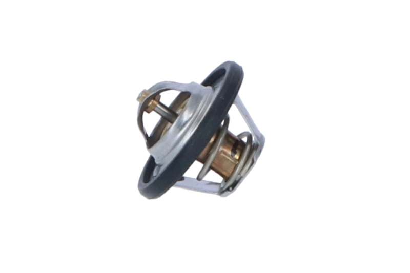 Thermostat, coolant EASY FIT 725064