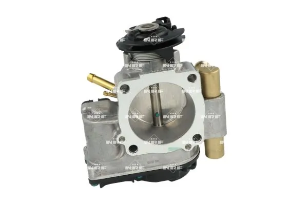 Throttle Body 408020