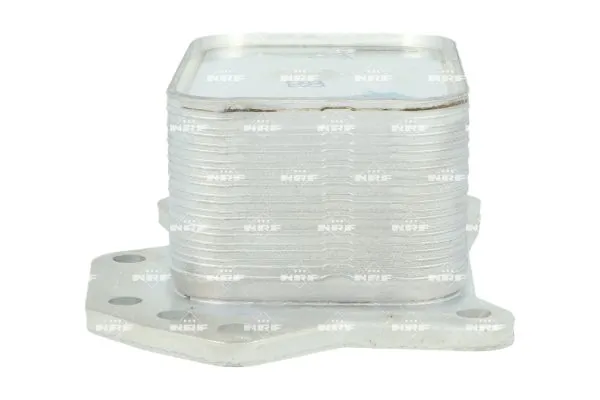 Oil Cooler, engine oil 31893