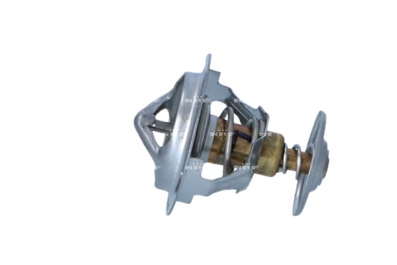 Thermostat, coolant 725200