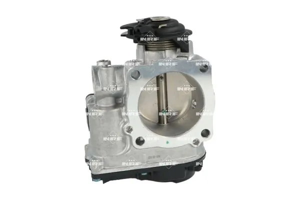 Throttle Body 408053