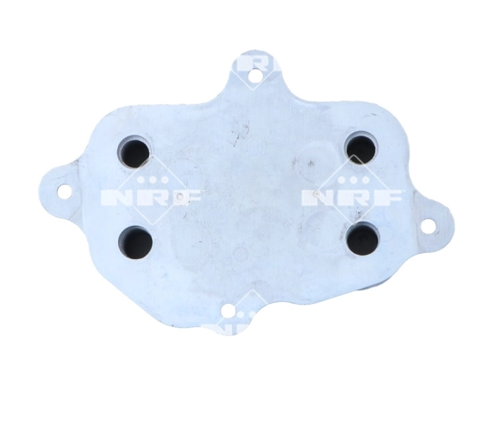 Oil Cooler, engine oil 31866