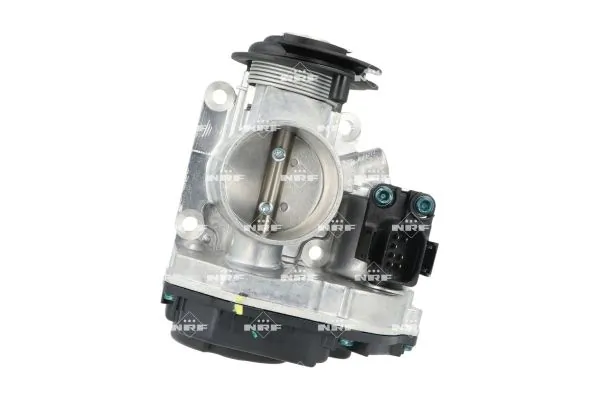 Throttle Body 408051