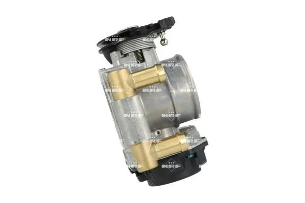 Throttle Body 408020