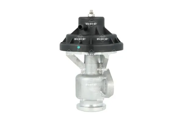 EGR Valve EASY FIT 48665