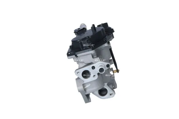 EGR Valve 48202