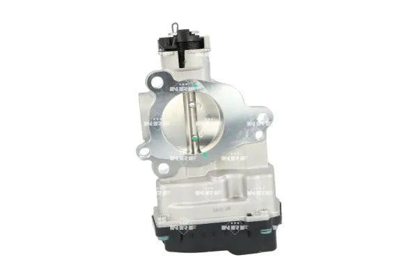 Throttle Body 408019