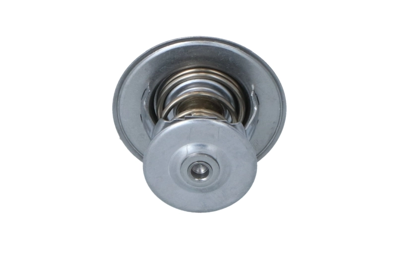 Thermostat, coolant 725253