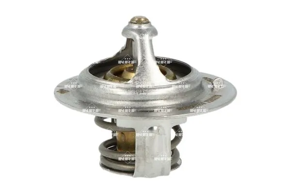 Thermostat, coolant 725273