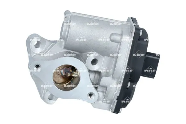 EGR Valve 48700