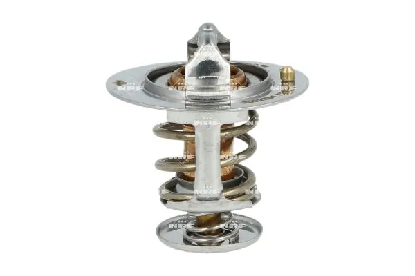 Thermostat, coolant 725119