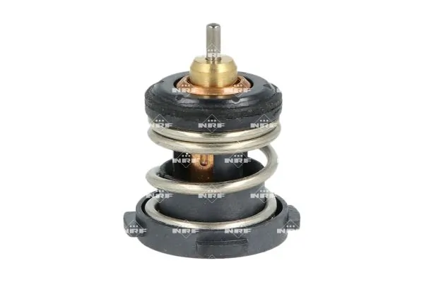 Thermostat, coolant 725225