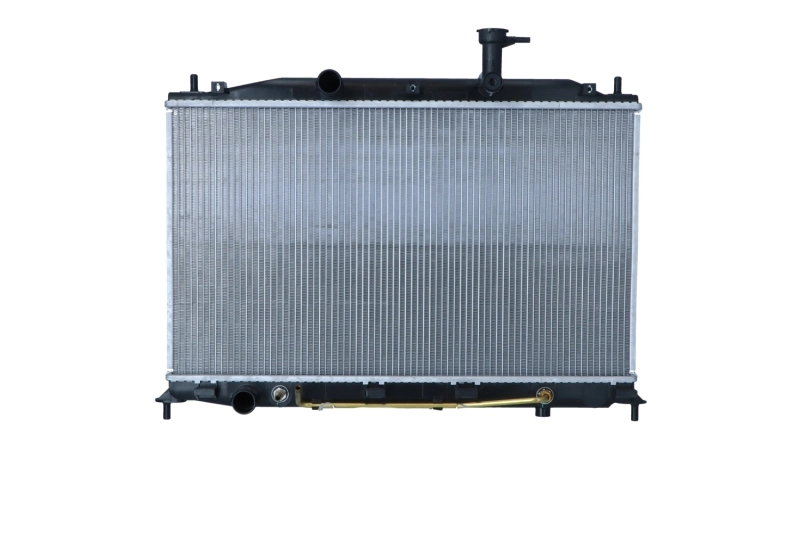 Radiator, engine cooling 550098