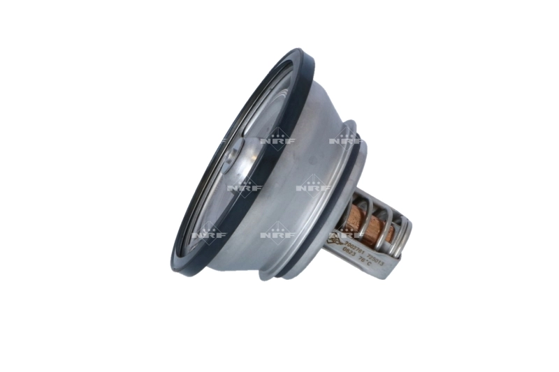 Thermostat, coolant EASY FIT 725013