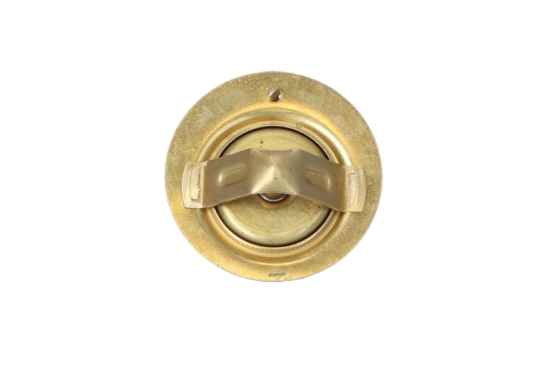 Thermostat, coolant 725259
