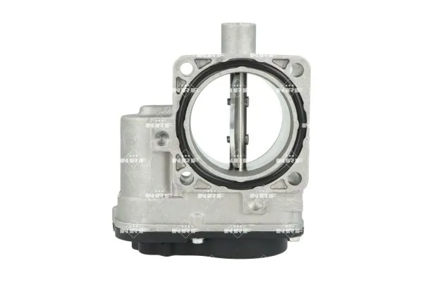 Throttle Body EASY FIT 408061